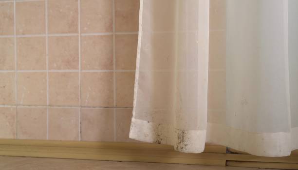Best Attic Mold Removal  in Waipio Acres, HI