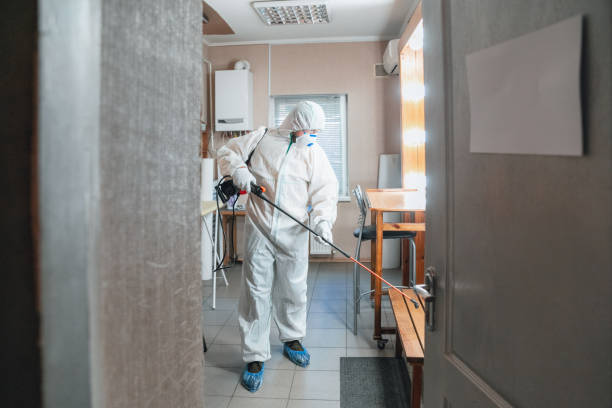 Waipio Acres, HI Mold Removal Company