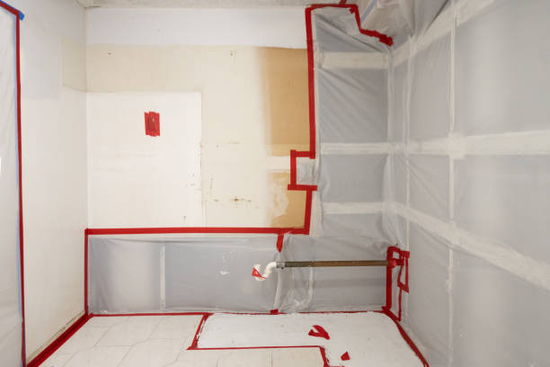 Best Asbestos and Lead Testing During Mold Inspection  in Waipio Acres, HI