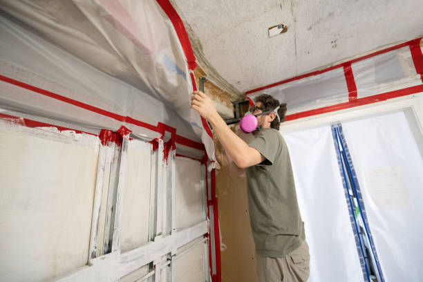Mold Documentation for Insurance Claims in Waipio Acres, HI