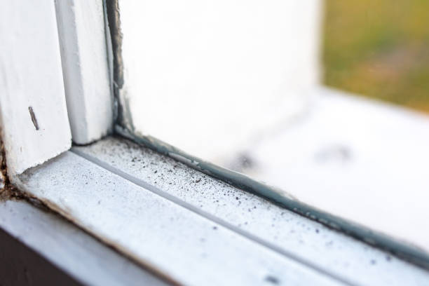 Best Forensic Mold Investigation  in Waipio Acres, HI