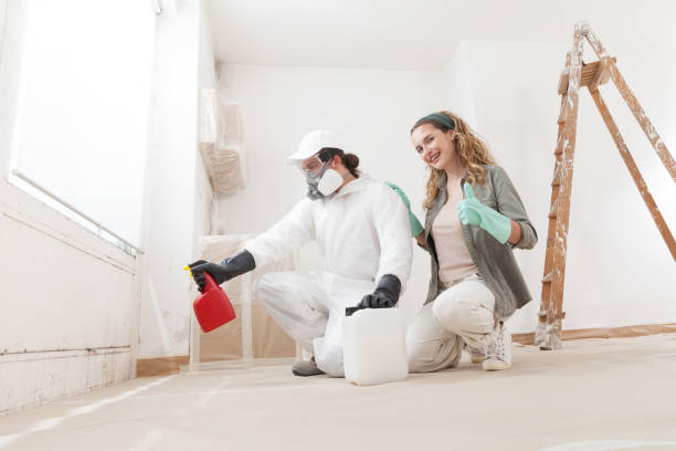 Best Water Damage & Mold Remediation  in Waipio Acres, HI